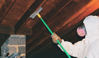 Mold Removal Services in Long Beach
