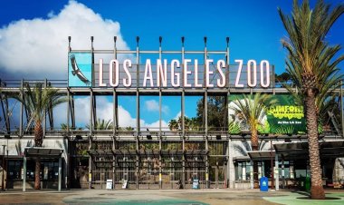 Los Angeles Zoo - Perfect for Photo Taking